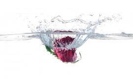 Woda różana - właściwości i jak ją stosować