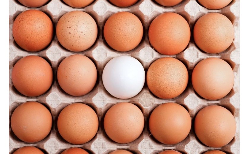 Czym zastąpić jajko - 5 roślinnych zamienników