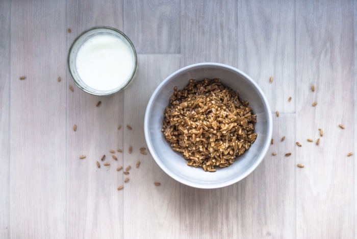 Kasza owsiana z mlekiem – proste śniadanie
